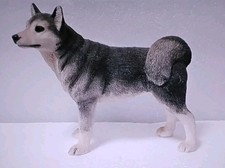 Leonardo collection dog for sale  SCUNTHORPE