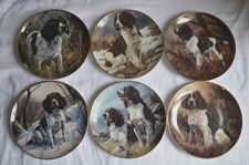 Springer spaniel six for sale Springer spaniel six for sale  WARMINSTER