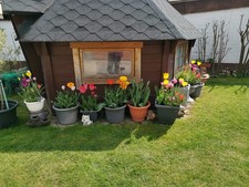 Grillhütte kotta gebraucht kaufen  Hanau