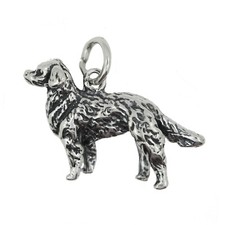 Sterling silver large for sale  Duncan