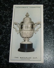 Churchman sporting trophies for sale  LEIGHTON BUZZARD