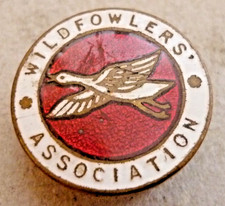 Vintage enamel badge for sale  WATERLOOVILLE