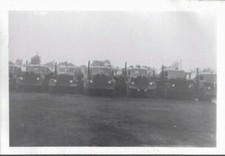 Vintage photograph 1952 for sale  Siletz
