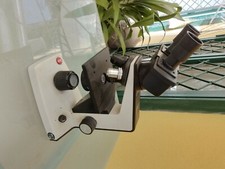Microscopio leitz lux usato  Napoli