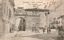 D890 cartolina camaiore usato  Tramonti