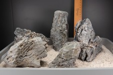 Seiryu rock aquarium gebraucht kaufen  Odenthal