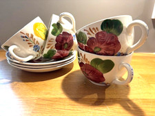 Beautiful belle fiore for sale  ELLON