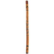 Meinl ddg1 didgeridoo usato  Altamura