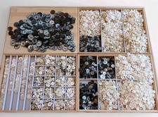 250 shell buttons for sale  Fond Du Lac
