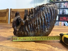 mammutzahn gebraucht kaufen mammutzahn gebraucht kaufen Willich