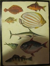 Splendido raro quaderno usato  Montemarciano