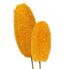 Luffa schwamm dekoration gebraucht kaufen  Deutschland