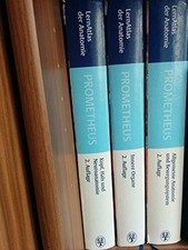 Prometheus kopf hals gebraucht kaufen  Stuttgart