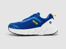 Chaussures running fitville d'occasion  Issoire