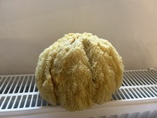 schwamm groß gebraucht kaufen schwamm groß gebraucht kaufen Saulheim