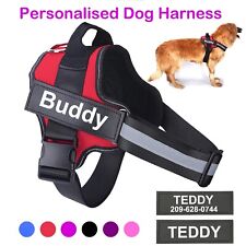 Pull dog harness for sale  NOTTINGHAM