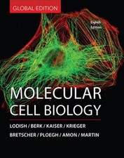 Molecular cell biology usato  Spedire a Italy