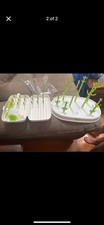 White green baby for sale  Anderson
