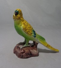 birds parakeet for sale birds parakeet for sale Kensington