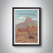 Guadalupe mountains national for sale  WATFORD