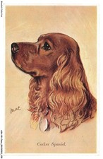 Ashp9 0569 chien d'occasion  Expédié en Belgium