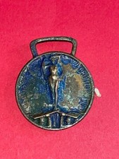 Medaglia guerra unita usato  Italia