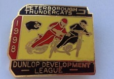Peterborough panthers 1998 for sale  HEBBURN