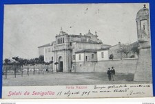 Senigallia animata animata usato  Milano