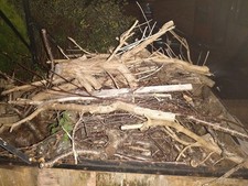 firewood offcuts for sale firewood offcuts for sale COVENTRY