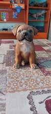 staffordshire bull terrier usato  Napoli