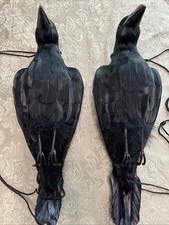Lewtemi pcs inch for sale  North Las Vegas