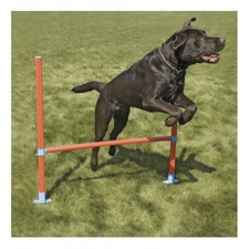 Rosewood dog agility for sale  GREAT YARMOUTH
