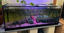 Aquarium 150x60x50 450 gebraucht kaufen  Niederbobritzsch