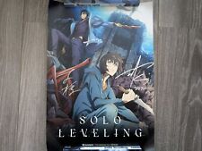 Solo leveling anime gebraucht kaufen  Bruchsal