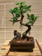 fake decorative tree for sale fake decorative tree for sale Merced