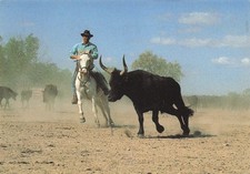 Camargue guardian insulating d'occasion  Expédié en Belgium
