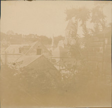 Veules roses 1895 d'occasion  Pagny-sur-Moselle