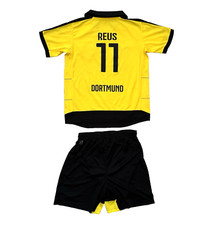 Bvb borussia dortmund gebraucht kaufen  Langelsheim