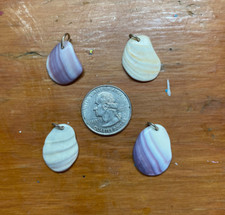 Quahog shell wampum for sale  Lindenhurst