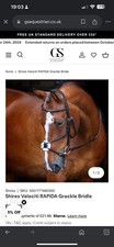 Shires velociti grackle for sale  LEEDS