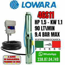 Pompa sommersa lowara usato  Pomigliano d'Arco