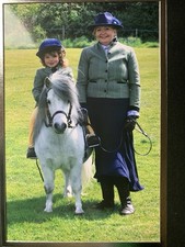 Lead rein show for sale  LEIGH-ON-SEA