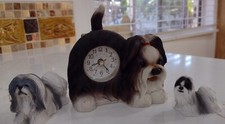 Lot shih tzu for sale  San Diego