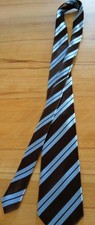 Krawatte braun hellblau gebraucht kaufen  Nittendorf