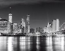 New york skyline gebraucht kaufen  Celle