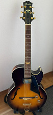 Peerless nm2000 hollow gebraucht kaufen  Mainburg