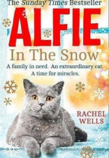 Alfie snow book for sale  ROSSENDALE