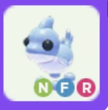 Adopt nfr shark for sale  Fort Lauderdale