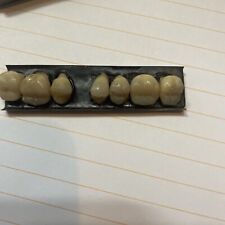 Ash false teeth for sale  LIVERPOOL