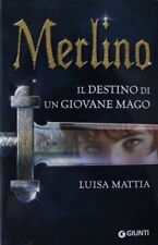 Merlino destino giovane usato  Feltre